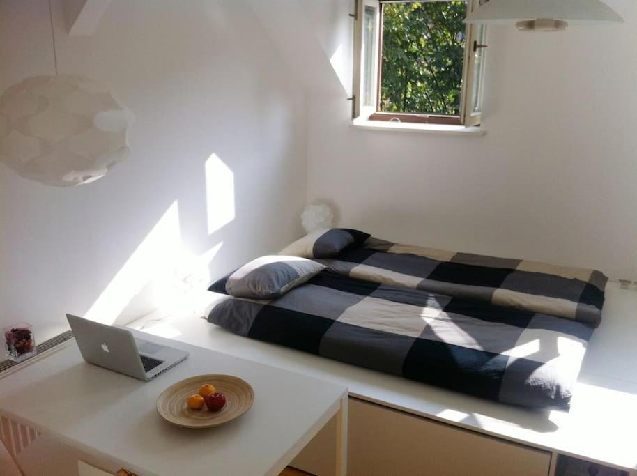 The Cute, Sunny Apartment In The Center +P Liubliana Exterior foto