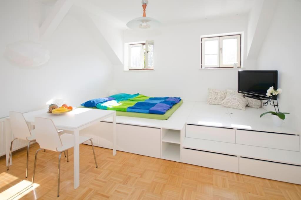 The Cute, Sunny Apartment In The Center +P Liubliana Exterior foto