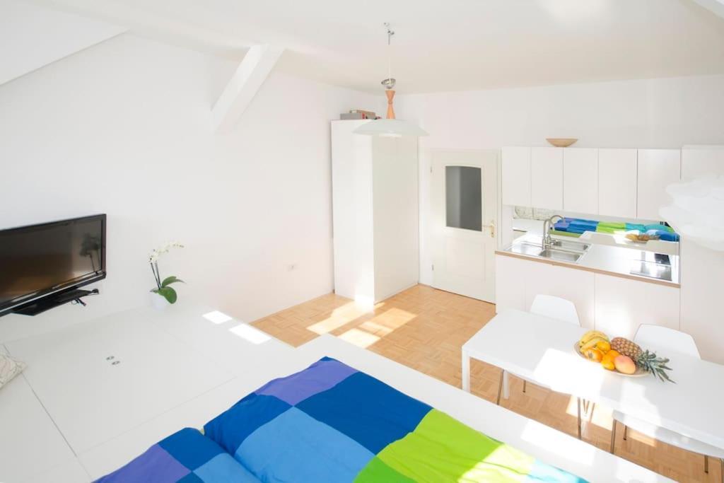 The Cute, Sunny Apartment In The Center +P Liubliana Exterior foto
